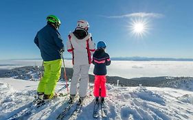 Studio Chaleureux Au Depart Des Sentiers Et Pistes De Ski