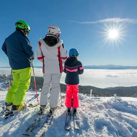 Studio Chaleureux Au Depart Des Sentiers Et Pistes De Ski Lajoux Extérieur photo