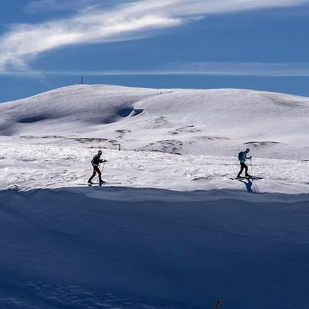 Studio Chaleureux Au Depart Des Sentiers Et Pistes De Ski Lajoux Extérieur photo