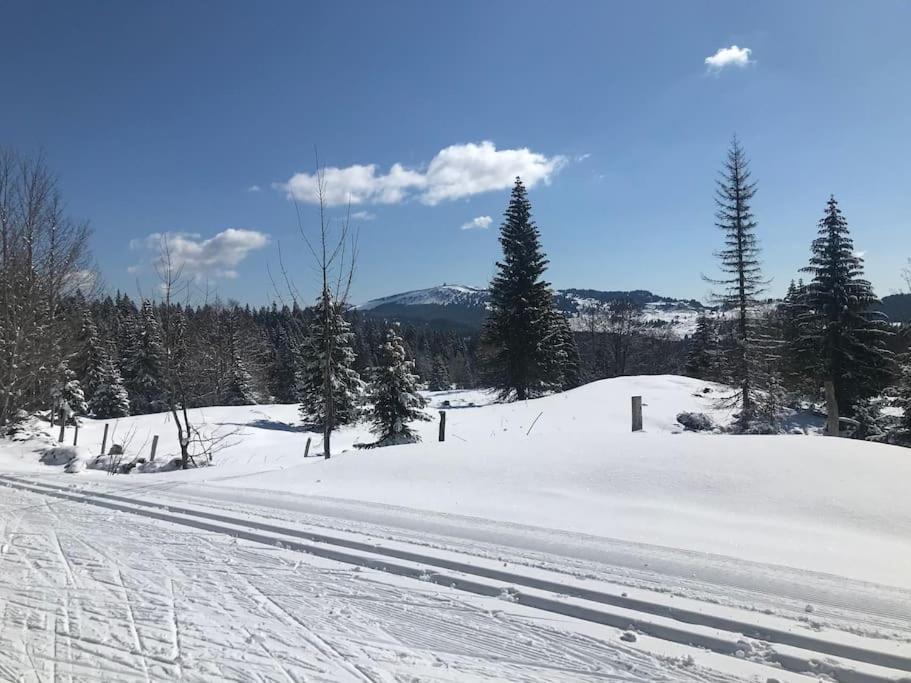 Studio Chaleureux Au Depart Des Sentiers Et Pistes De Ski Lajoux Extérieur photo