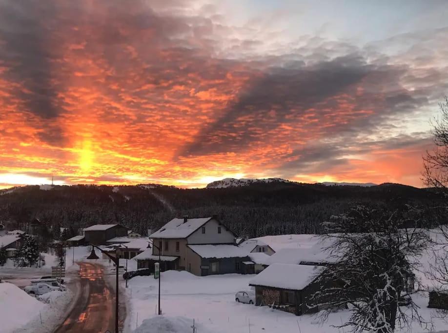 Studio Chaleureux Au Depart Des Sentiers Et Pistes De Ski Lajoux Extérieur photo