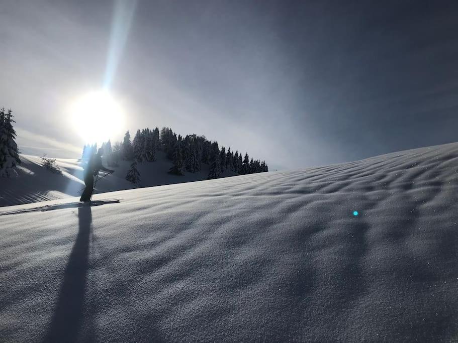 Studio Chaleureux Au Depart Des Sentiers Et Pistes De Ski Lajoux Extérieur photo