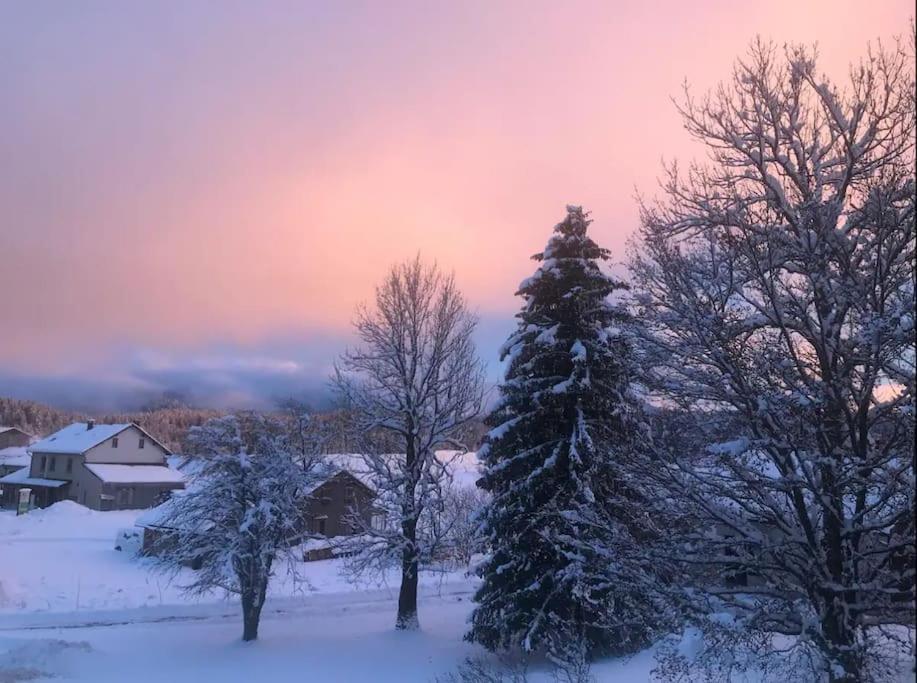 Studio Chaleureux Au Depart Des Sentiers Et Pistes De Ski Lajoux Extérieur photo