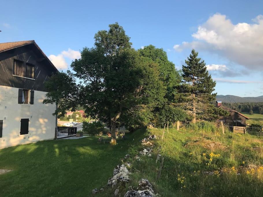 Studio Chaleureux Au Depart Des Sentiers Et Pistes De Ski Lajoux Extérieur photo